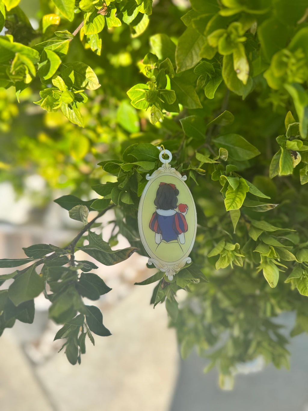Custom Princess Frames Bag Tag