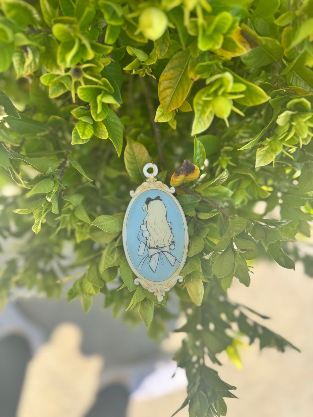 Custom Princess Frames Bag Tag