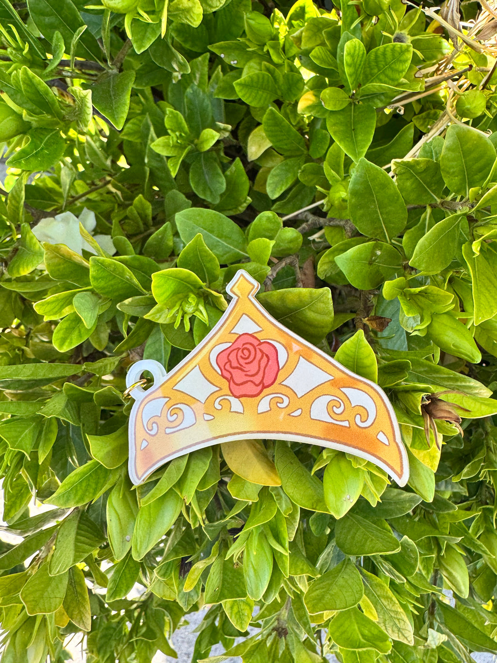 Princess Crowns Bag Tag