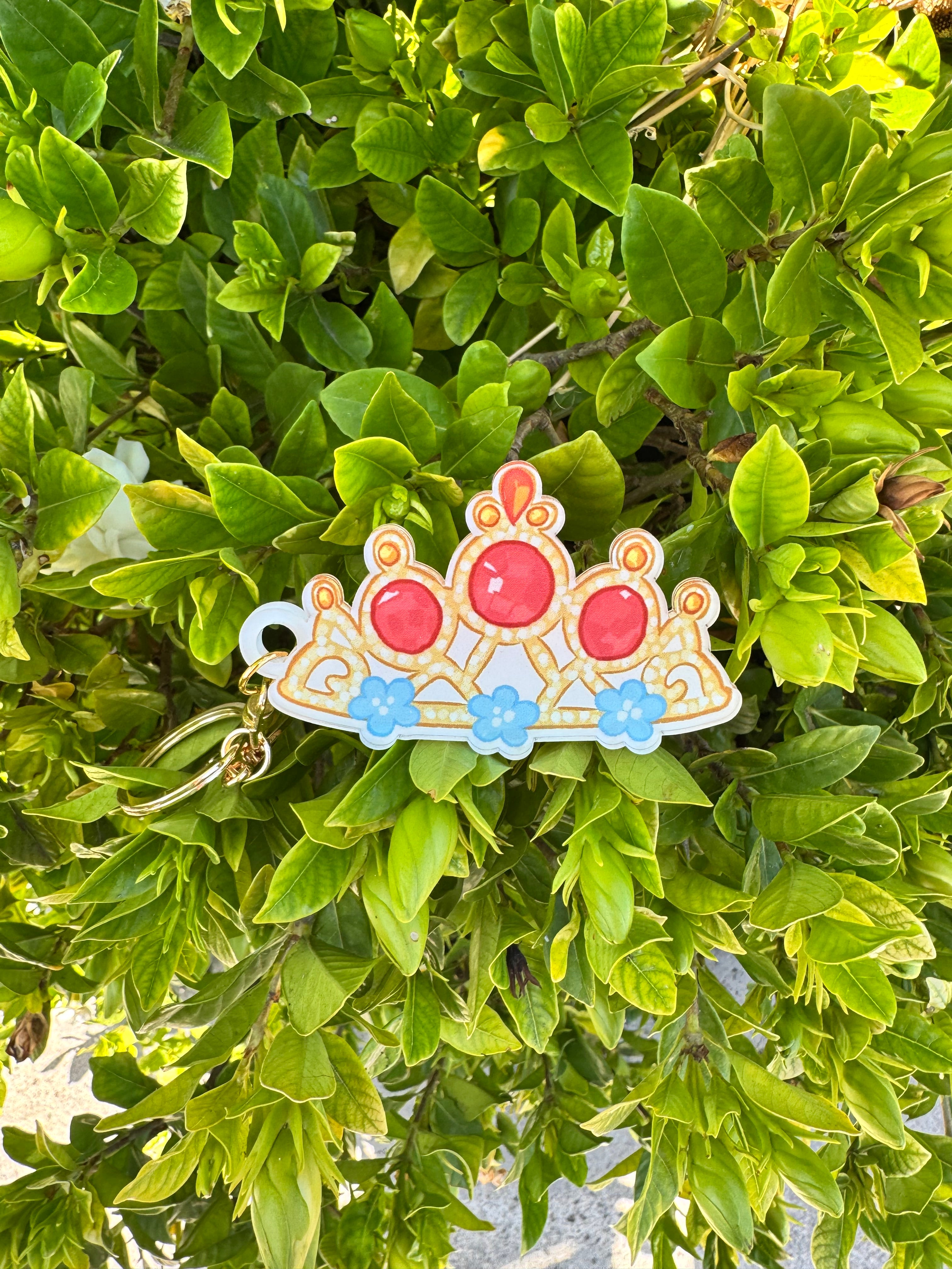 Princess Crowns Bag Tag