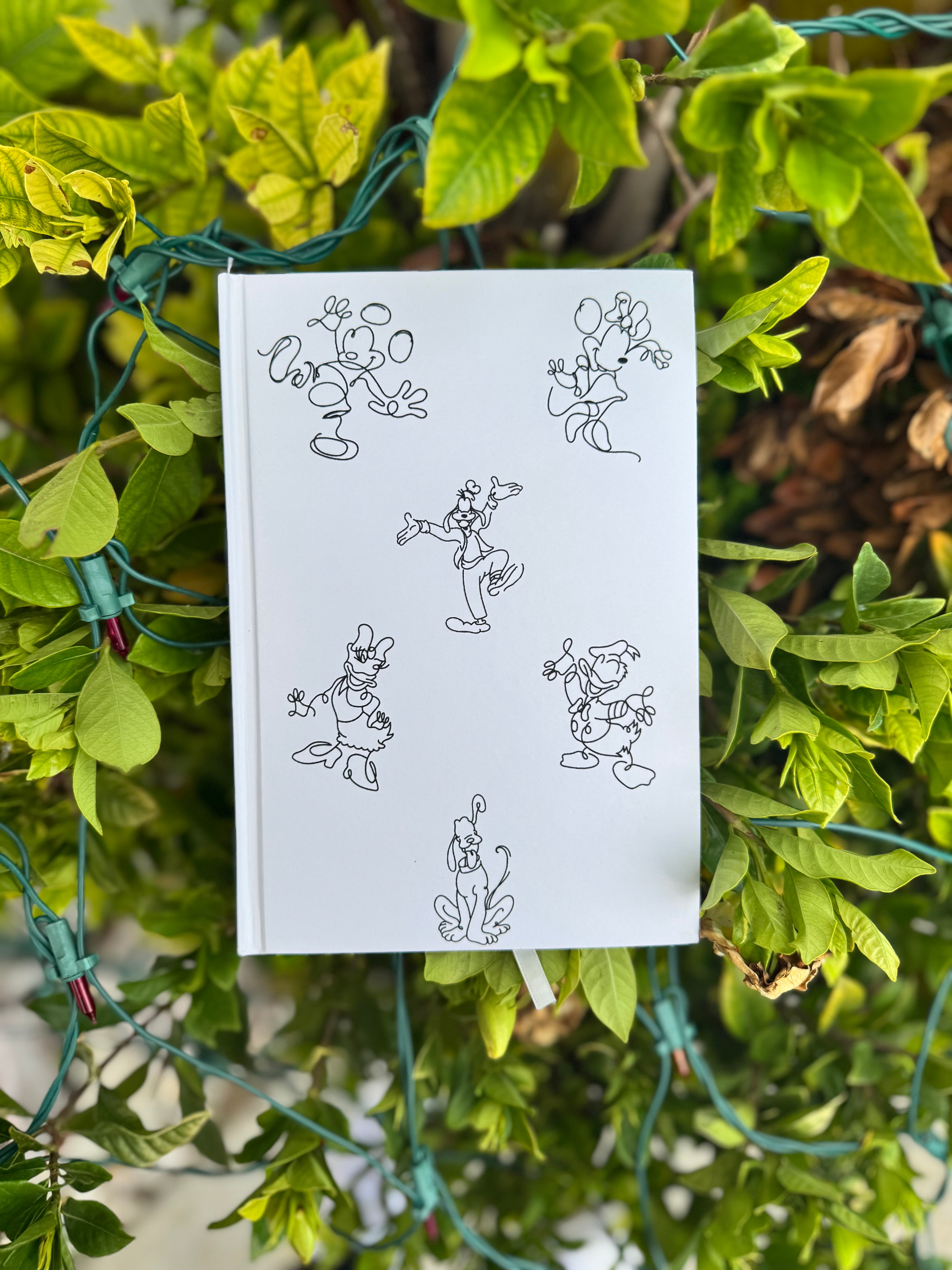 Classic Line Friends Sketchbook