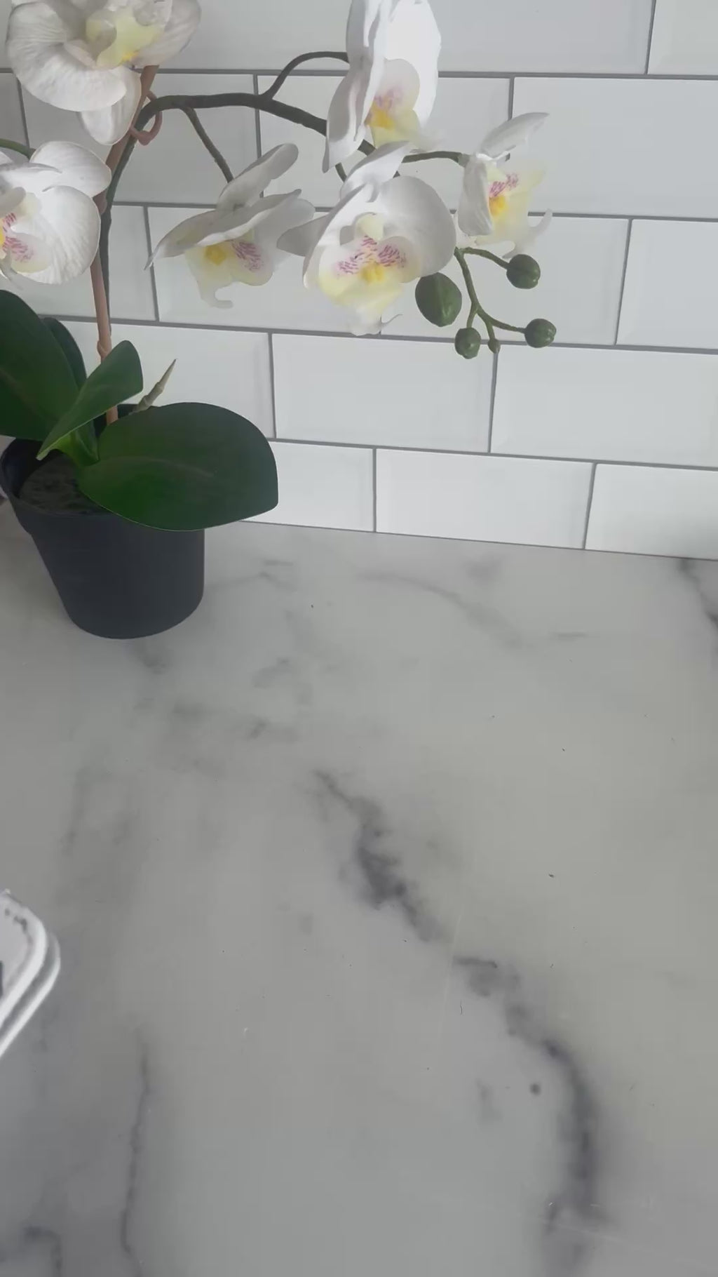 Custom Passport Covers