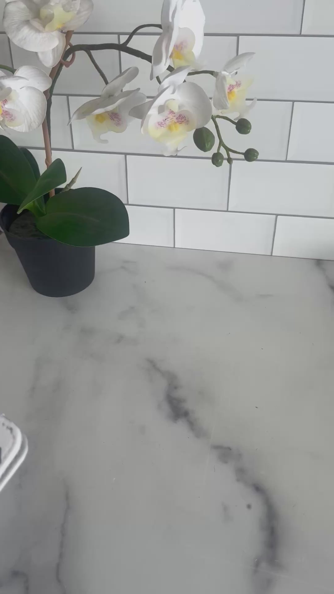 Custom Passport Covers