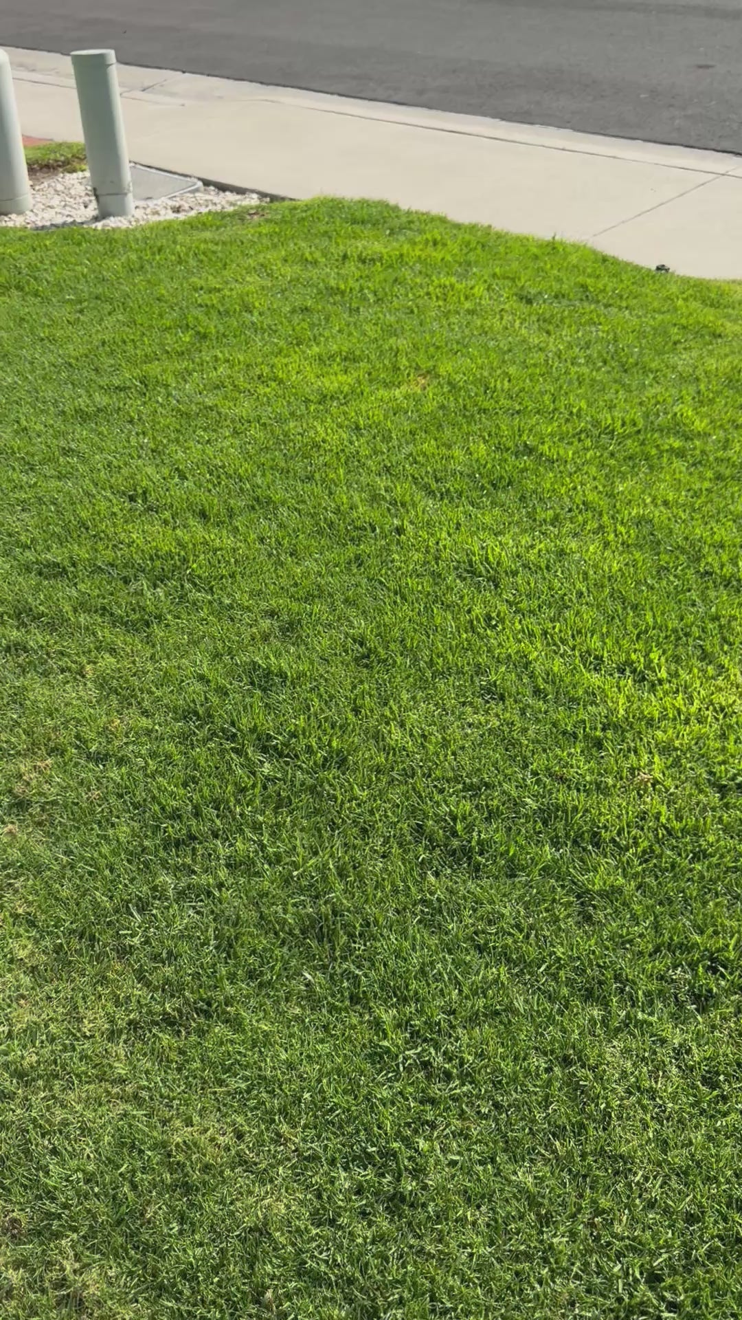 Princess Magic Bookstack Kindle Cases