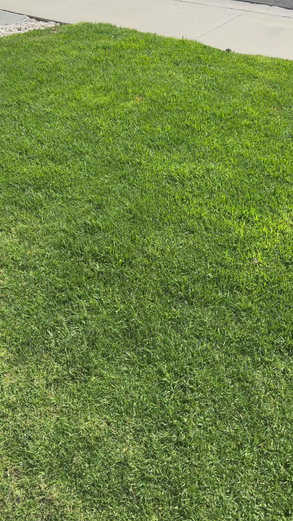 Gilmore Girls Kindle Case