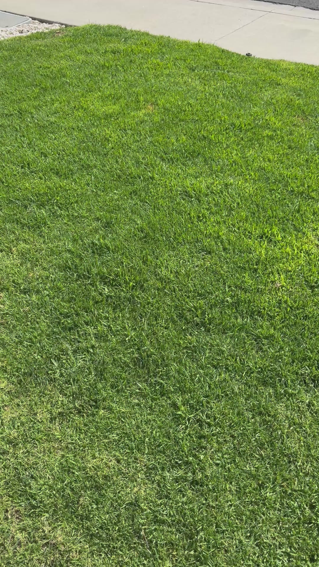 Gilmore Girls Kindle Case