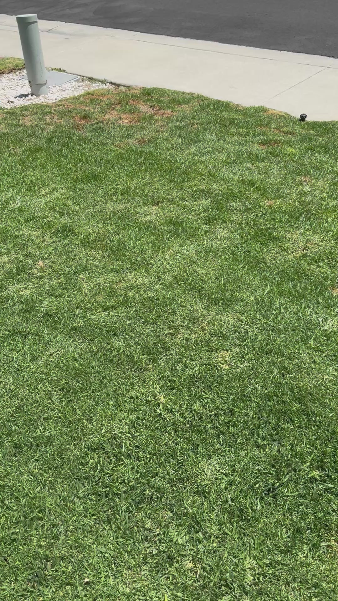 Jack and Sally Nightmare Wall Clock