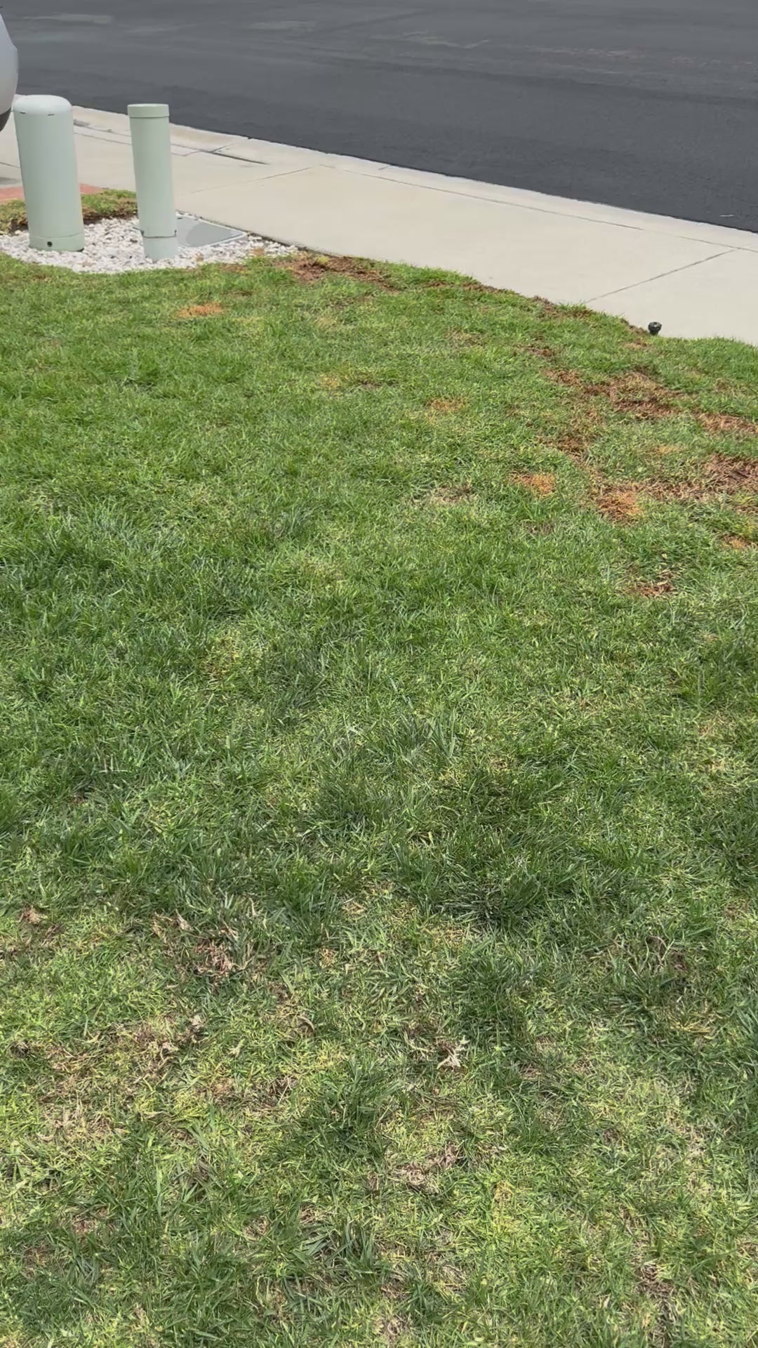 Happy Place Disney & MK Tote Bags