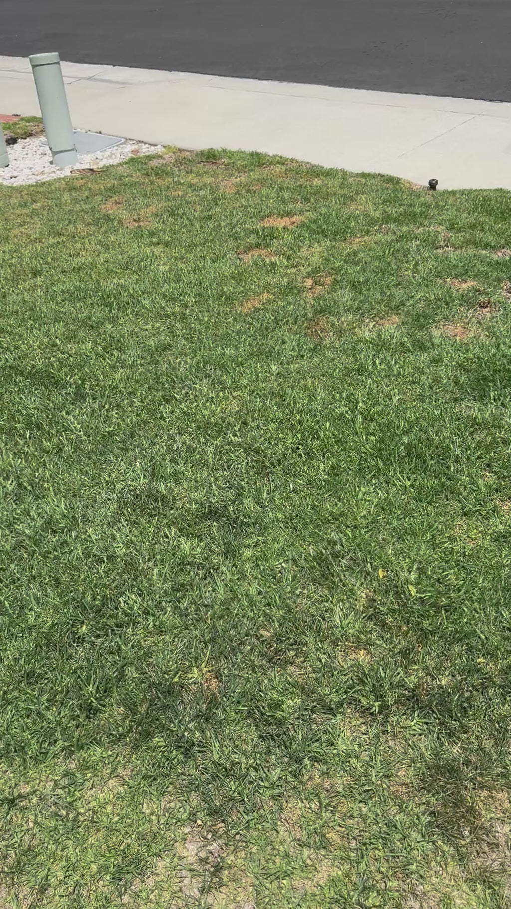 Princess Crowns Bag Tag