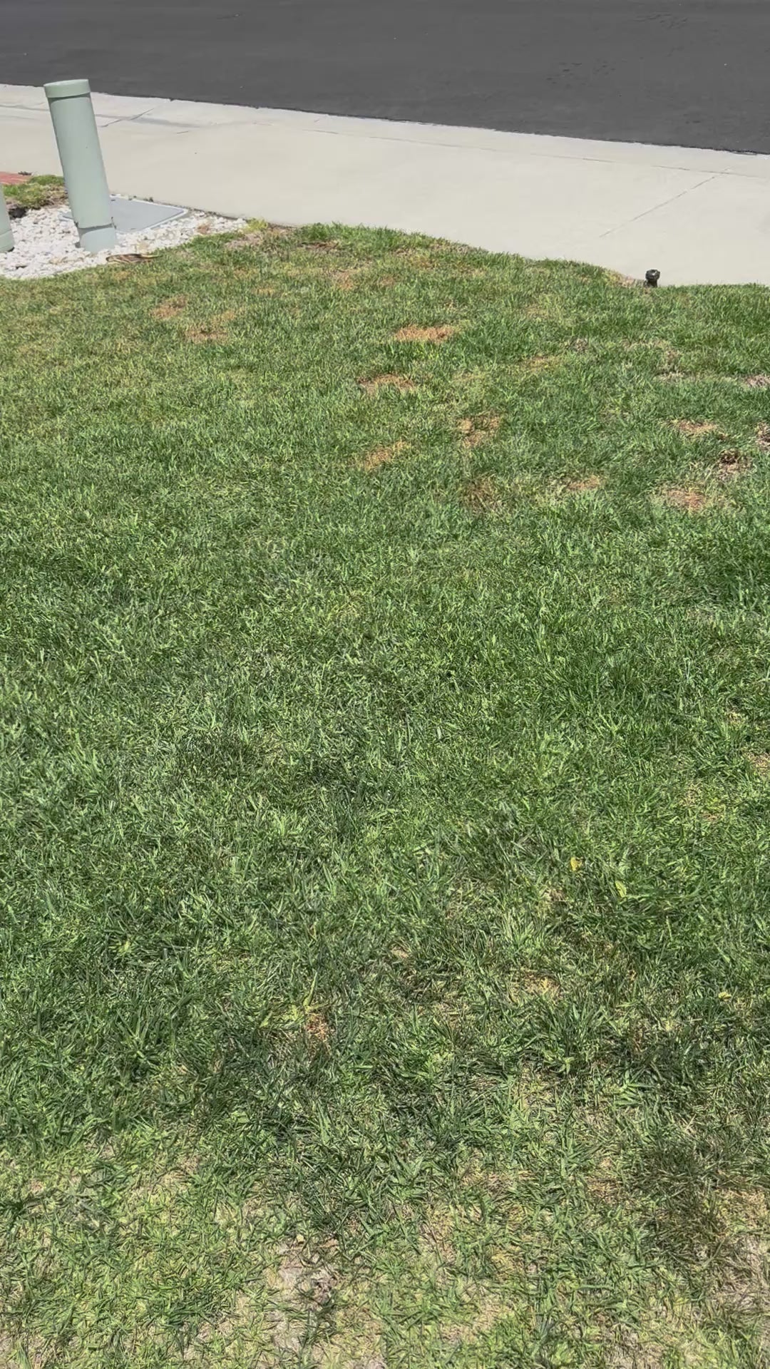 Princess Crowns Bag Tag