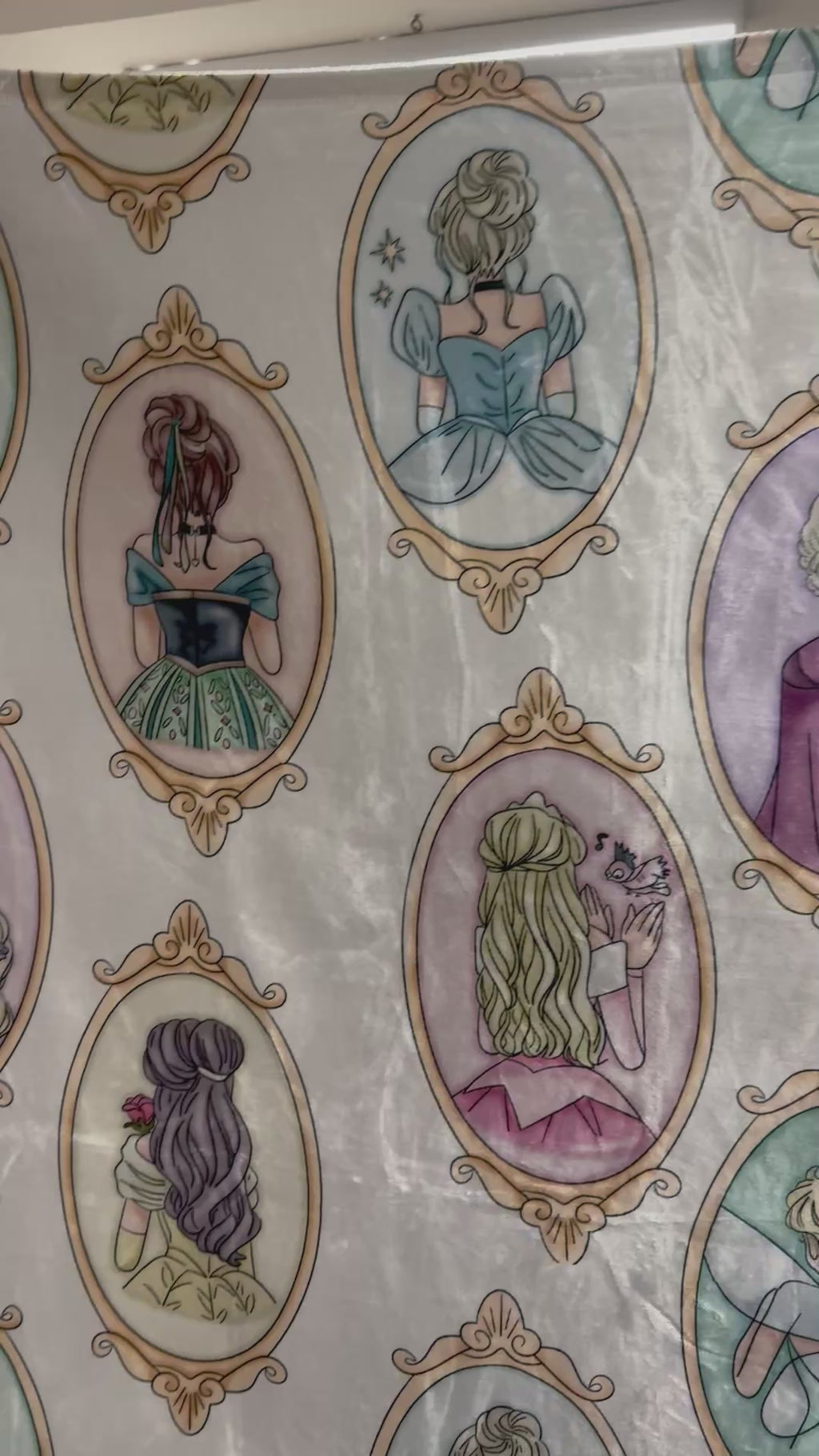 Princess Frames Blanket