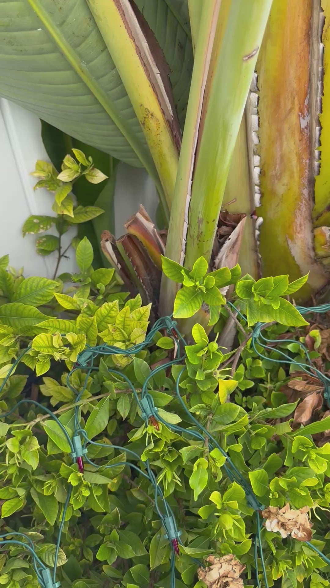 Magic Doodle Friend Sketchbook